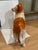 Staffordshire Early 19th Century Antique Victorian Staffordshire Collie Figurine For Sale - Image 4 of 6
