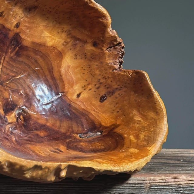 Brown Vintage Organic Modern Hand Carved Wooden Root Bowl For Sale - Image 8 of 8