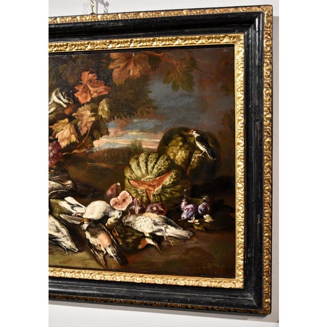 Giovanni Paolo Castelli, Still Life, 1700, Oil on Canvas, Framed For Sale - Image 4 of 16