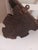 Eagle Wall Bracket Antique Black Forest Carved Glass Eye For Sale - Image 9 of 11