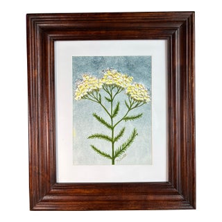 "Golden Yarrow Study" Original Watercolor Painting Signed and Framed For Sale