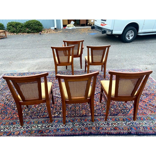 1960s Vintage Drexel Cane & Walnut Dining Chairs a Set of 6 Chairish