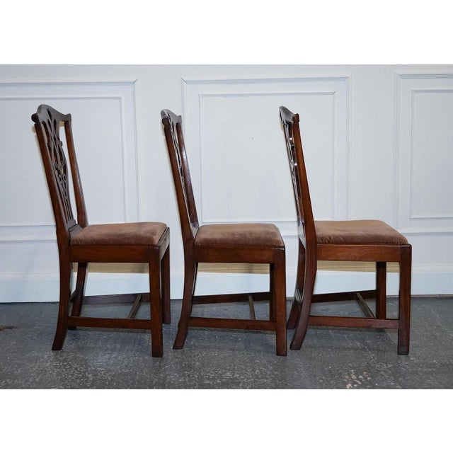 Chippendale Dining Chais H Frame, 1890s, Set of 6 For Sale - Image 9 of 18