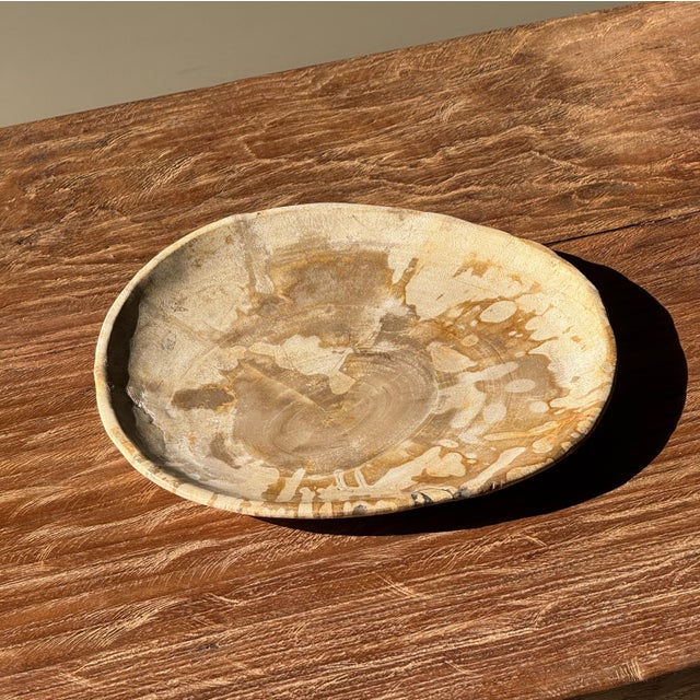 Small Trinket Tray in Speckled Beige Petrified Wood For Sale - Image 15 of 18