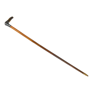 19th Century Victorian Stag Antler Gentleman Walking Cane With Engraved Sterling Silver Collar, Dated 1887