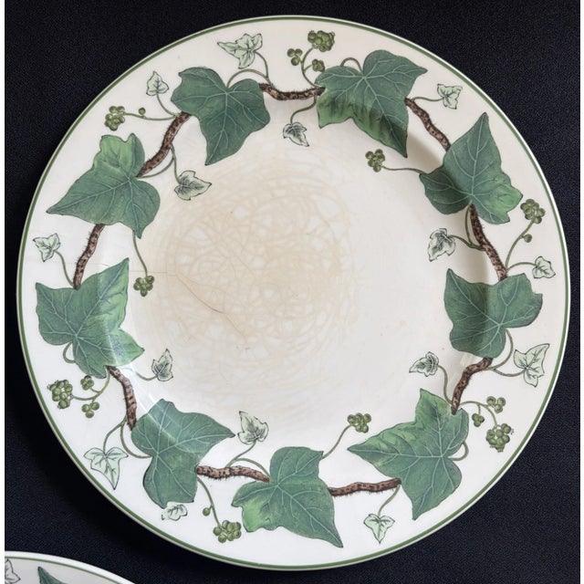 1940s Napoleon Ivy Wedgwood Vintage Plates - Set of 5 For Sale - Image 5 of 8