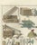 Chinese Military Equipment & Ceremonial Standards – Ferrario Costume Plates, 1815 : This decorative pair of hand-colored...