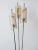 Mid-Century Modern Mid-Century Modern German 3-Flamed Floor Lamp, 1950s For Sale - Image 3 of 14