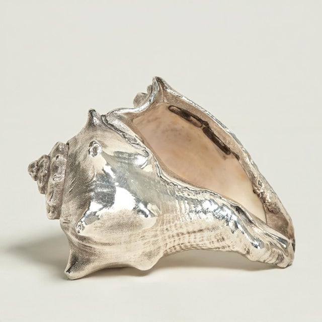 Lofty silver coated organic seashell with enhanced sculptural elements. Stamped Federico Buccellati 999.