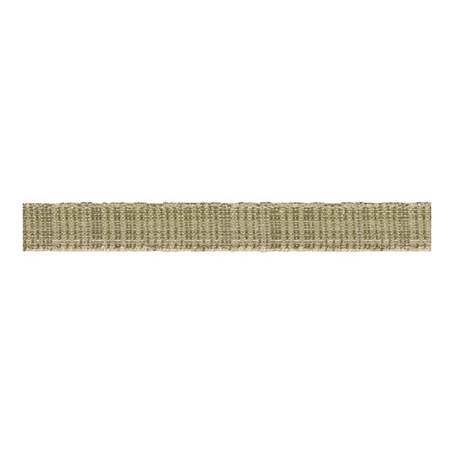 SAMPLE - Schumacher Tweed Tape Narrow In Leaf For Sale