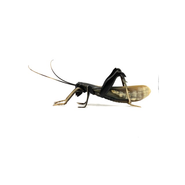 Mid-Century Hand-Crafted Horn Grasshopper, France 1960s For Sale - Image 9 of 12