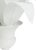 Tole planter with leaves painted white