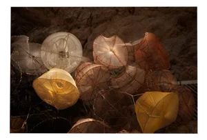 Ugne Pouwell, Fishing Nets No.2, 2020, Photography
