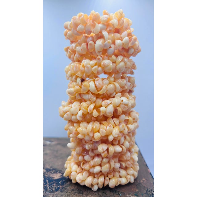 Tribal Natural Shell Napkin Ring Holder - Set of 9 For Sale - Image 3 of 5
