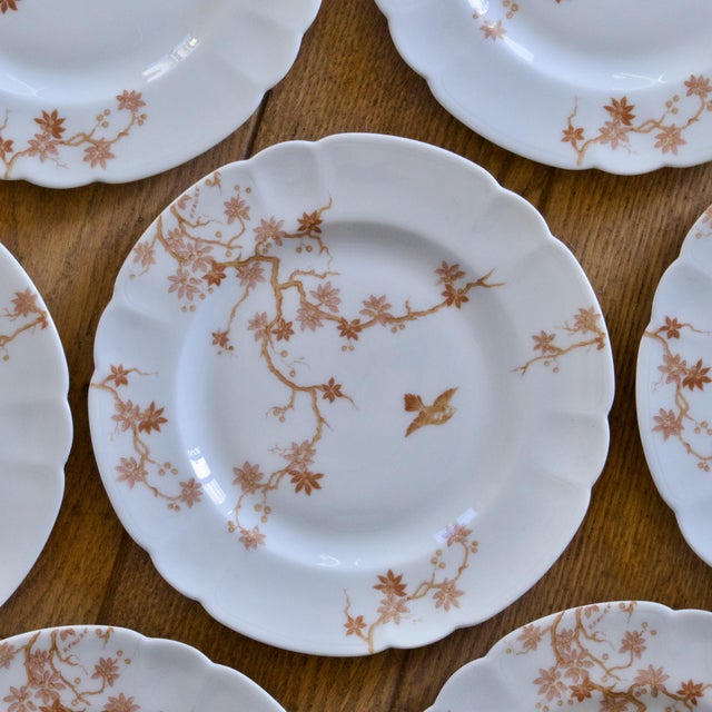 Antique Limoges Porcelain Dessert Plates with Bird Decoration from Charles Haviland, 1930s, Set of 7 For Sale - Image 3 of 7