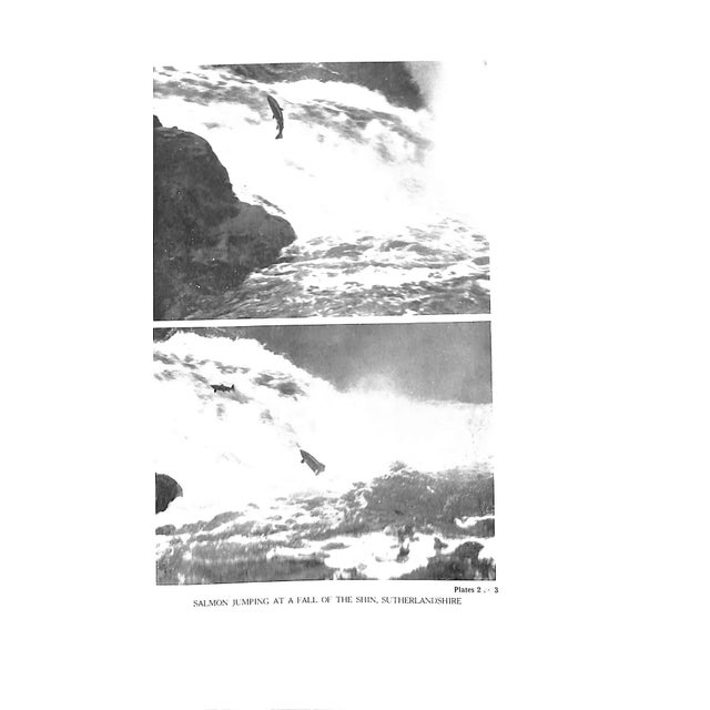 Paper "Salmon Fishing" 1945 Taverner, Eric For Sale - Image 7 of 15