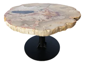 Round Earth Toned Petrified Wood Dining Table by Xyleia Petrified Wood