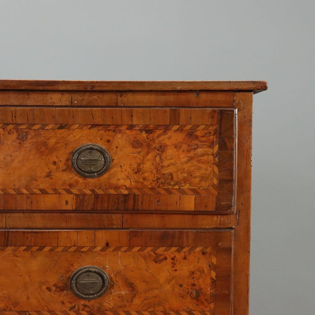 18th Century Neoclassical Walnut Chest of Drawers For Sale - Image 4 of 12