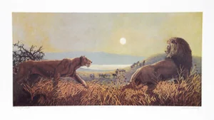 Caroline Schultz, Moonlight Stalk, Lithograph