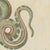 Paper Bertuch, Two Patterned Snakes in Coils, 1805, Print For Sale - Image 7 of 12