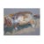 Modern Caroline Duckworth King, Reclining Cat, 1970s, Oil Painting on Paper, Framed For Sale - Image 3 of 14