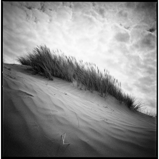 Fine art Giclee prints on Hahnemuhle Photo Rag 308gsm - a 100% cotton, acid-free, mould-made paper. Printed to Fine Art...