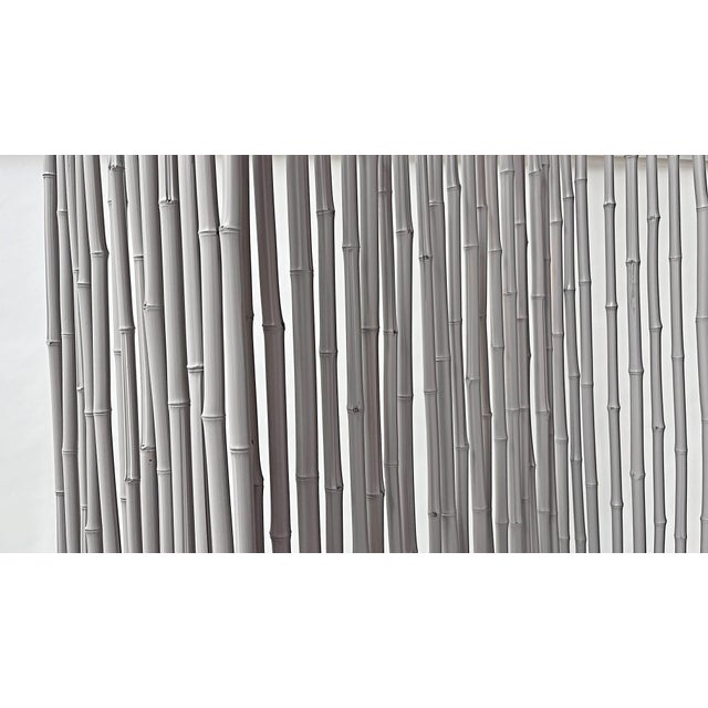 Gray Grey Lacquered Rattan Room Divider by Gunter Lambert, 2008 For Sale - Image 8 of 8