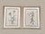 Vintage Botanical Framed Prints Set of 2 - Authentic 1953 Prints For Sale In Greensboro - Image 6 of 6