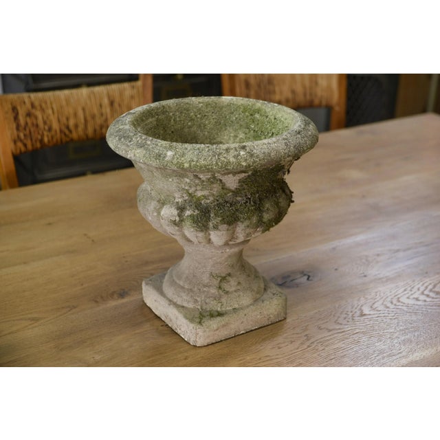 Beige Medici Vases in Reconstituted Stone, 1950s, Set of 2 For Sale - Image 8 of 12
