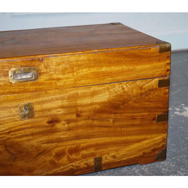 Antique English Camphor Wood Storage Trunk, 19th Century For Sale - Image 6 of 18