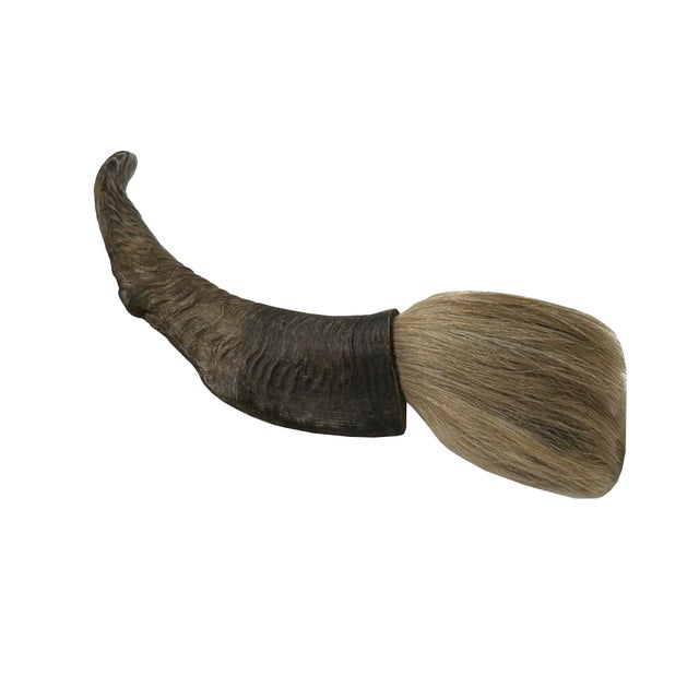 Add a touch of organic elegance to your space with this unique rustic natural horn shape brush accent display. Handcrafted...