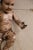 Tan 18th Century Italian Carved Polychrome Baby Jesus Figure With Glass Eyes For Sale - Image 8 of 11