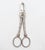 Vintage Garden Club scissors made by Clauss Cutlery in the 1950s. It is made of silver plated brass with rose flower and...