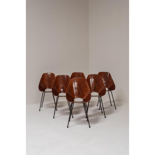 Medea Chairs by Vittorio Nobili, Italy, 1955, Set of 6 For Sale - Image 3 of 17