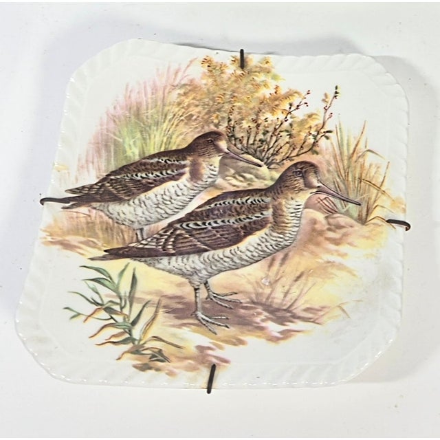 Illustrated Game Bird Plates - Set of Six For Sale - Image 11 of 16