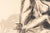 Framed drawing, ink wash depicting a Baoulé woman by Evelyne Luez. Drawing, framed ink wash, 20th century, by Evelyne...