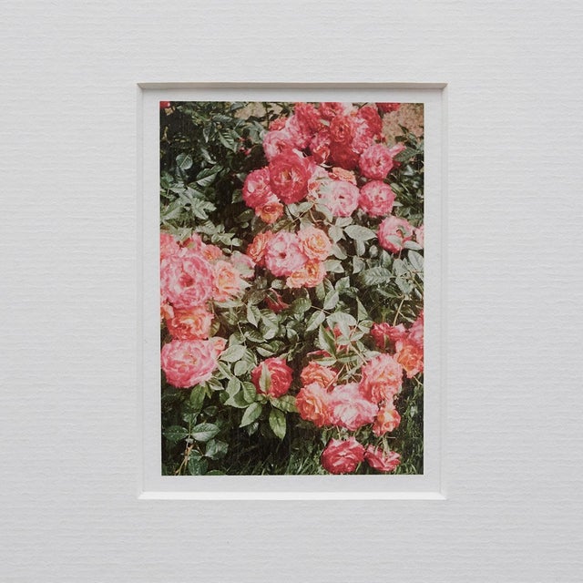 The Rose Garden Prints by David Urbano, 2018, Set of 9 For Sale - Image 11 of 18