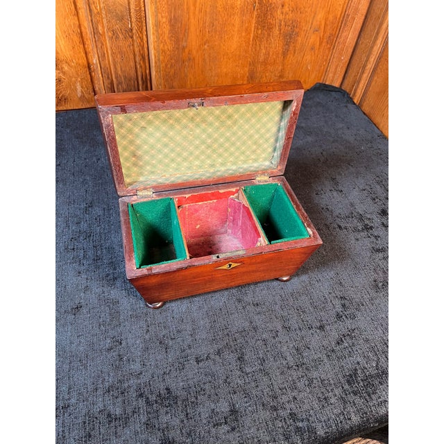 Brown Regency Mahogany Sarcophagus form Tea Caddy For Sale - Image 8 of 12