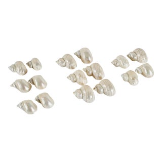 Vintage Hans Turnwald Set of 16 Napkin Rings Assorted Spiral Sea Shells " Paris -Miami Collection " For Sale