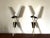 Large Vintage Double Wall Lights from Arlus, 1950s, Set of 2 For Sale - Image 9 of 9