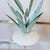 Mid-Century Modern Vintage Tole Lotus Flower 2-Arm Candelabra For Sale - Image 3 of 7