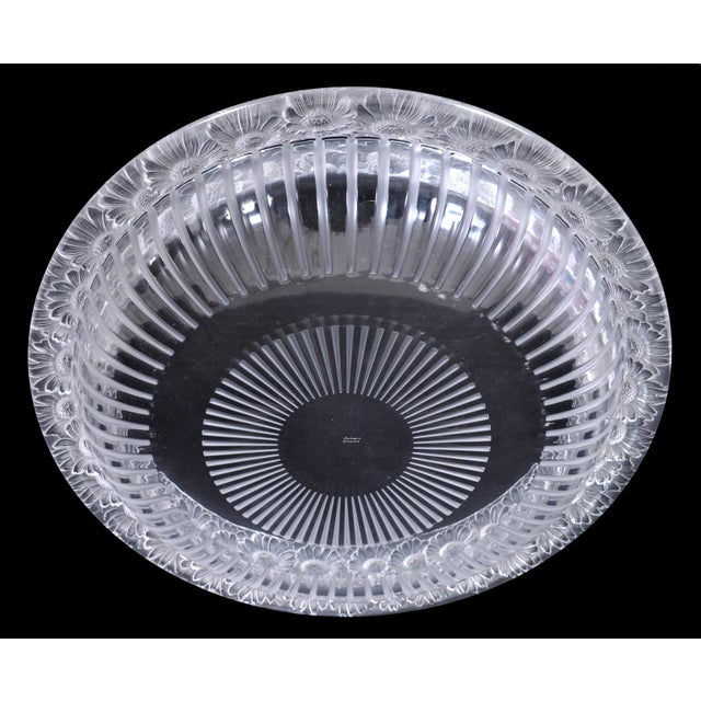 Glass Antique French Art Deco Large Crystal Glass "Marguerites" Bowl by Lalique, 1930s For Sale - Image 7 of 9