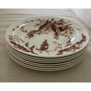 For Barbara: Set of 8 Antique Wedgwood Brown "Seaweed" Transferware Soup Bowls For Sale
