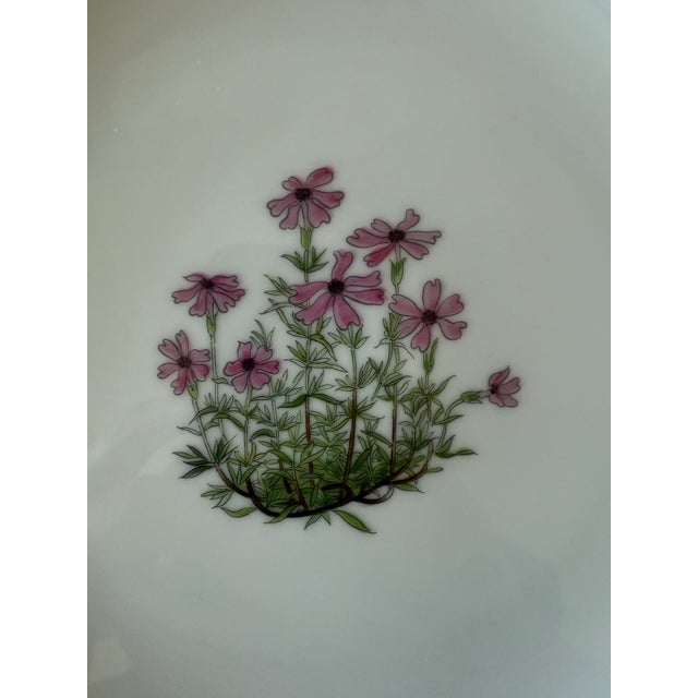 Set of 12 Vintage Takahashi Japan Lunch Plates With Botanical Designs For Sale - Image 9 of 17