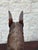 Mid 20th Century Large Hand-Carved Wood Horse Head Sculpture For Sale - Image 9 of 12