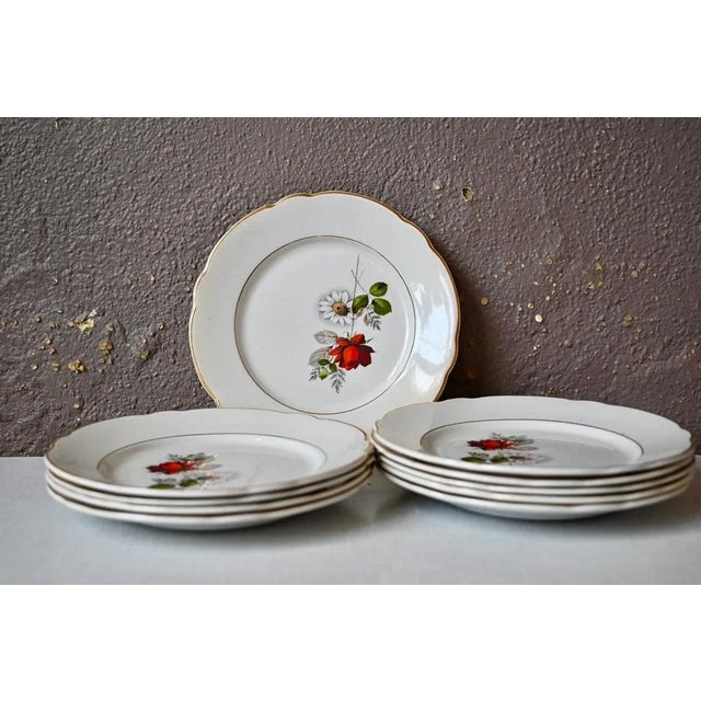 1950s French Bohemian Plates from Keller and Guerin Lunéville, 1950s, Set of 10 For Sale - Image 5 of 5