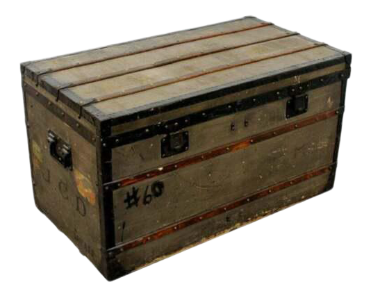 vintage trunk luggage