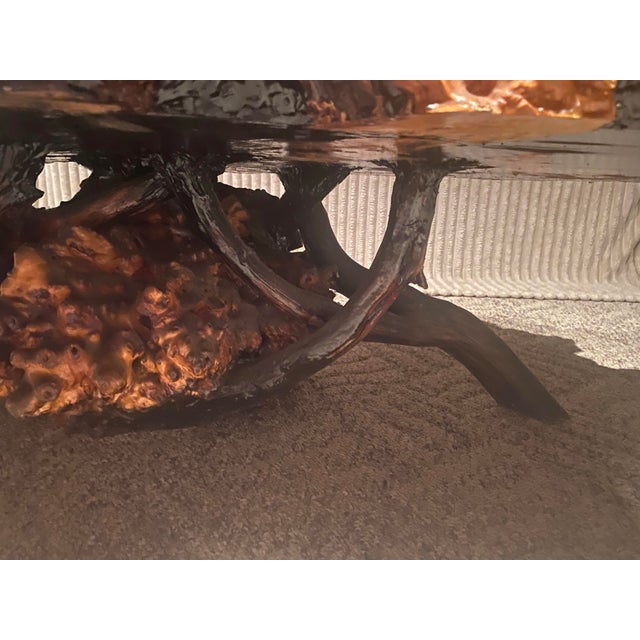 1960s Vintage Redwood Burl Tree Trunk Coffee Table – Sculptural Organic Modern Design For Sale - Image 5 of 9