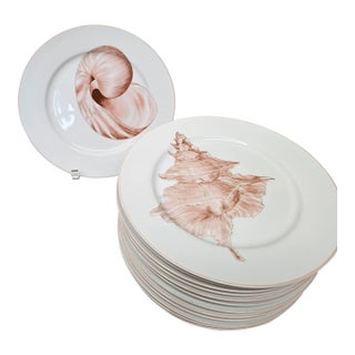 Chic and Stylish Fitz and Floyd Dinner Plates With Seashells Coquille Pattern - Set of 12 For Sale