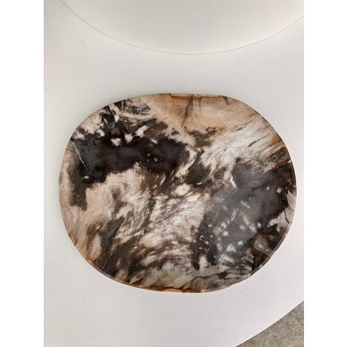 Very Large Vide-Poche or Dish in Petrified Wood For Sale - Image 10 of 18